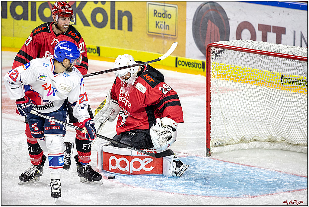 DEL; Koelner Haie - Adler Mannheim, 09.04.2019